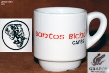 Santos Bicho