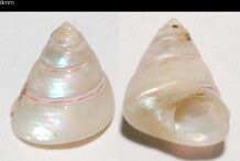 Cones
