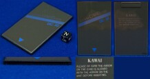 RAM Card